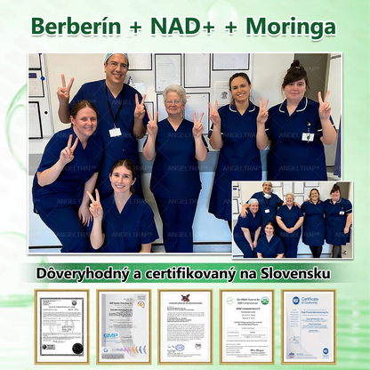 🌿𝐴𝑁𝐺𝐸𝐿𝑇𝑅𝐴𝑃® Moringa × Berberine × AMPK 10-in-1 Metabolic Support Nano Microneedle Patch 🇸🇰 (Na použitie iba raz denne, viditeľné zmeny už po 7 dňoch) ✅ Podporuje chudnutie, metabolické zdravie, spánkovú apnoe, problémy s kĺbmi a mnoho ďalších výhod.