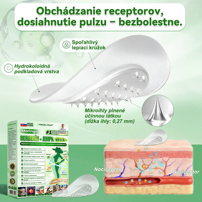 🌿𝐴𝑁𝐺𝐸𝐿𝑇𝑅𝐴𝑃® Moringa × Berberine × AMPK 10-in-1 Metabolic Support Nano Microneedle Patch 🇸🇰 (Na použitie iba raz denne, viditeľné zmeny už po 7 dňoch) ✅ Podporuje chudnutie, metabolické zdravie, spánkovú apnoe, problémy s kĺbmi a mnoho ďalších výhod.